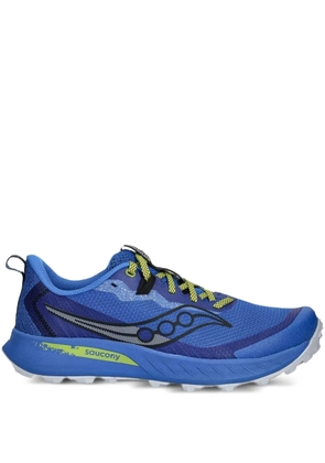 Saucony Peregrine 15 sneakers - Blue