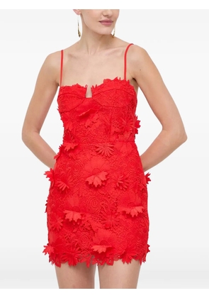 Bardot floral-lace mini fitted cocktail dress - Red
