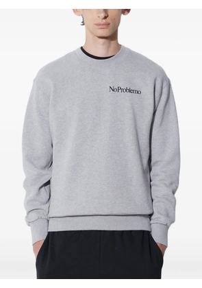 Aries crew-neck sweatshirt - Grey