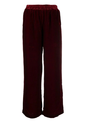 Gold Hawk velvet pants - Red