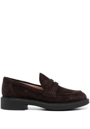 Gianvito Rossi Harris suede loafers - Brown