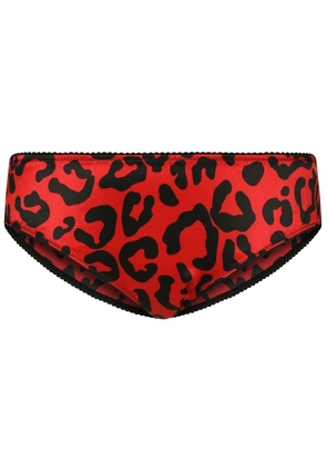 Dolce & Gabbana leopard-print briefs - Red
