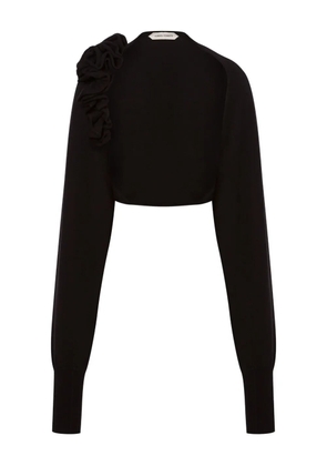Alberta Ferretti appliqué-detail sweater - Black