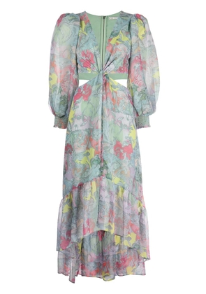 alice + olivia X Lola Schnable Katia maxi-dress - Green