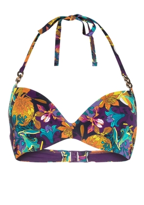 Marlies Dekkers Acapulco floral-print bikini top - Purple