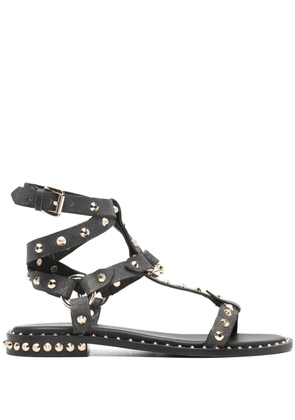 Ash stud-embellished leather sandals - Black