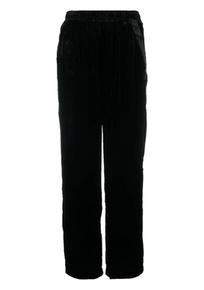 Gold Hawk velvet trousers - Black