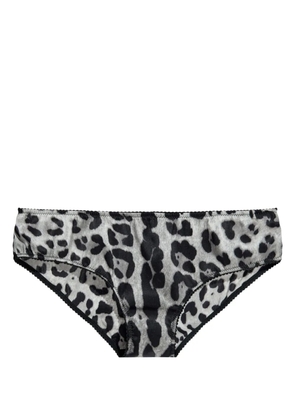 Dolce & Gabbana leopard-print briefs - Grey