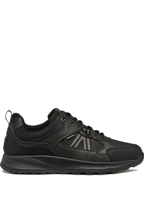 Geox Terrestre sneakers - Black