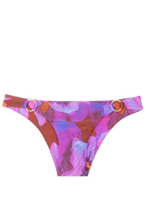 Lenny Niemeyer floral-print bikini briefs - Purple