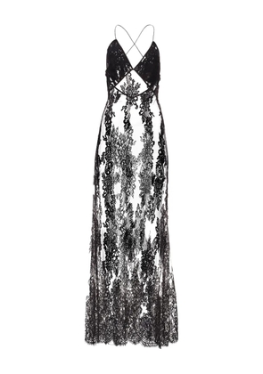 IL VOLO Naya sheer-lace maxi dress - Black