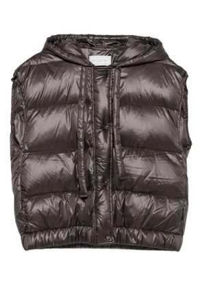 Antonelli Focaccia gilet - Brown