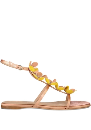 Giambattista Valli flower-embellished flat sandals - Neutrals