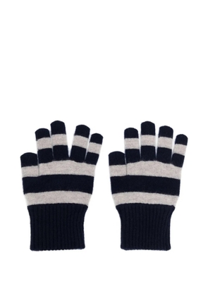 KINDRED Kenji gloves - Blue