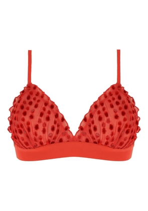 Love Stories velvet-dot triangle bra - Red