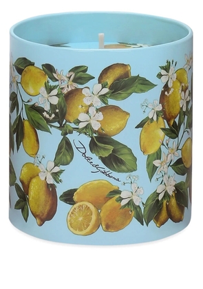 Dolce & Gabbana scented candle - Blue
