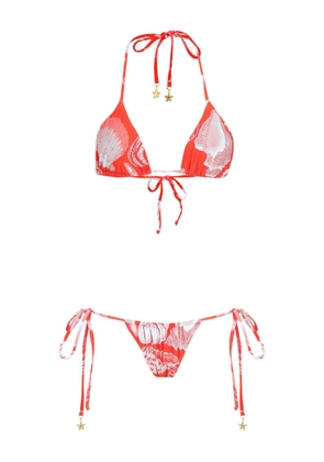 Amir Slama starfish-print bikini - 13 RED/WHITE