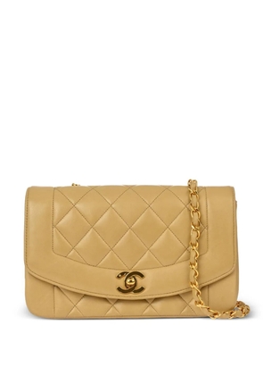 CHANEL Pre-Owned 1992 small Diana Shoulder Bag - Neutrals