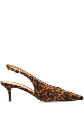 Gianvito Rossi pointed slingback pumps - Brown
