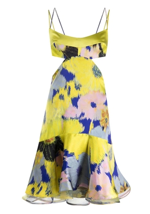 Silvia Tcherassi Analissa cut-out detail dress - Multicolour