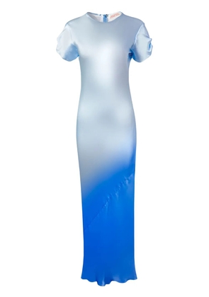 Alejandra Alonso Rojas Nausheen maxi dress - Blue