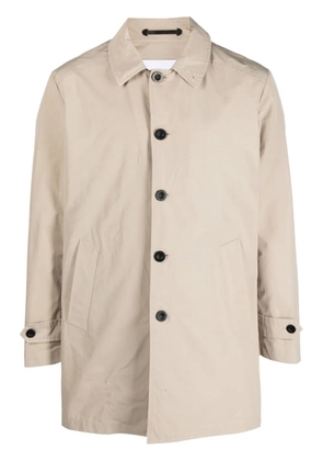 Paltò point-collar single-breasted coat - Neutrals