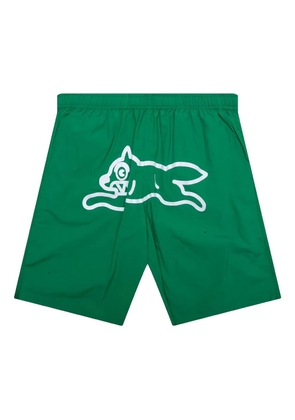 ICECREAM dog-print shorts - Green