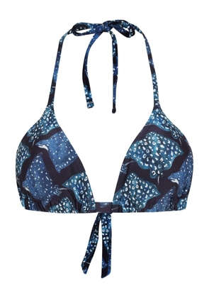 Lygia & Nanny Iasmin bikini top - Blue