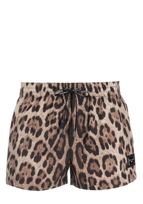Dolce & Gabbana logo-plaque leopard-print swim shorts - Black