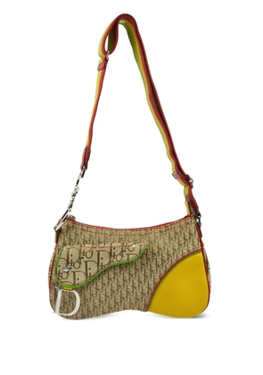 Christian Dior Pre-Owned 2004 Rasta Trotter Saddle shoulder bag - Neutrals