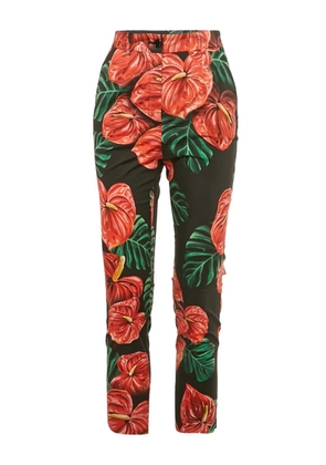 Dolce & Gabbana Pre-Owned floral-print trousers - Black