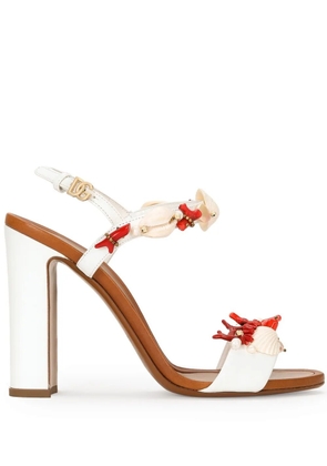 Dolce & Gabbana 105mm Keira coral-embroidered sandals - White