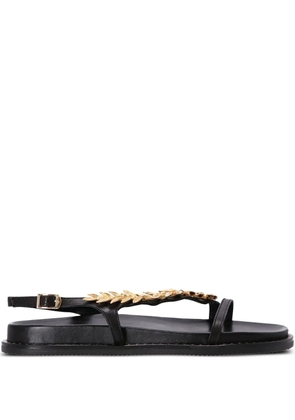 Kotris Sandals leaf-embellished buckle sandals - Black