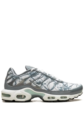 Nike Air Max Plus sneakers - Blue