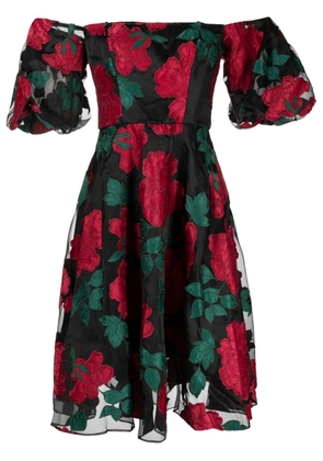 Marchesa Notte Claude floral-appliqué midi dress - Black