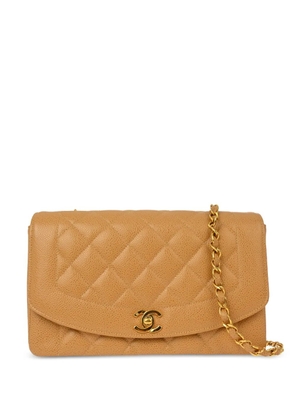 CHANEL Pre-Owned 1991-1994 medium Diana shoulder bag - Neutrals