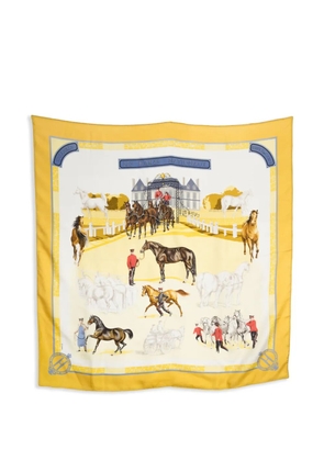 Hermès Pre-Owned 1989 x Hubert de Watrigant scarf - Yellow