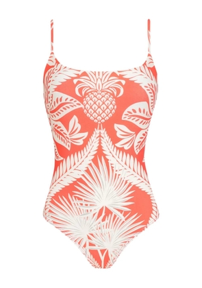 Lygia & Nanny pineapple-print swimsuit - Pink