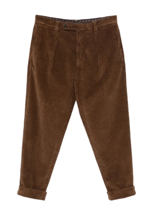 Berwich Chiaia GD pleated corduroy trousers - Brown