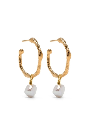 Forte Forte faux-pearl pendant hoop earrings - Gold