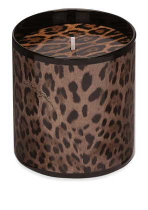 Dolce & Gabbana scented candle - Brown