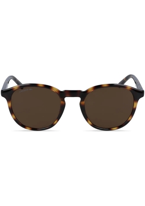 Lacoste round-frame sunglasses - Brown