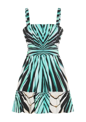 Roberto Cavalli zebra-print skater dress - Blue
