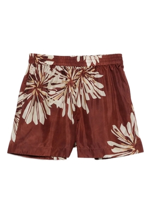 Brunello Cucinelli floral silk shorts - Brown