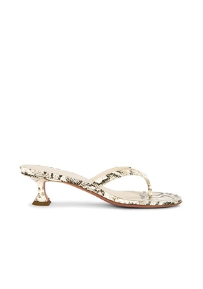 AMINA MUADDI Juliette 45 Thong Sandal in Print Snake Natural - Ivory. Size 41 (also in ).