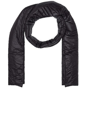 Saint Laurent Logo Scarf in Black - Black. Size all.