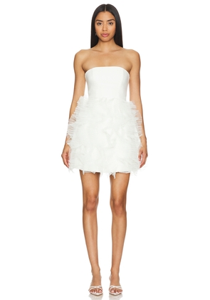 Cinq a Sept Ryan Dress in Ivory. Size 12. Also in 10.
