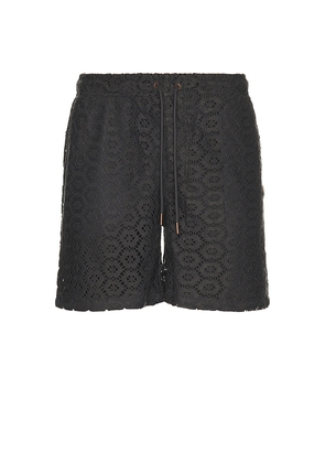 Honor The Gift Crochet Shorts in Black. Size M. Also in S.