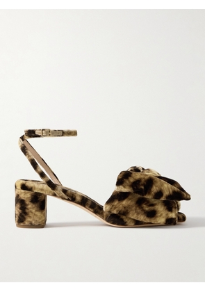 Loeffler Randall - Carmen Bow-embellished Leopard-print Velvet Sandals - Animal print - US5,US5.5,US6,US6.5,US7,US7.5,US8,US8.5,US9,US9.5,US10,US10.5,US11,US11.5,US12