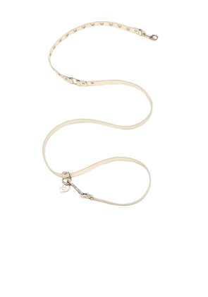 Little Beast You Mean The World To Me Leash in Metallic Silver.